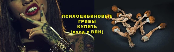 шишки Алзамай