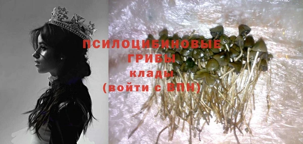 шишки Алзамай