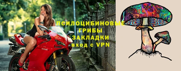 шишки Алзамай