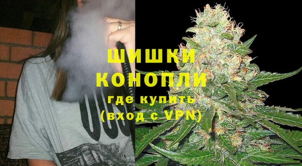 шишки Алзамай