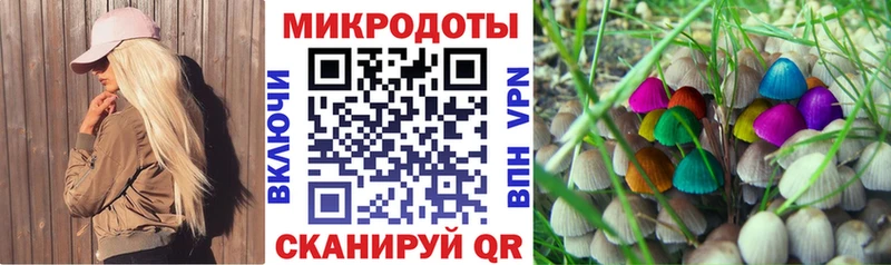 Псилоцибиновые грибы мицелий  Порхов 